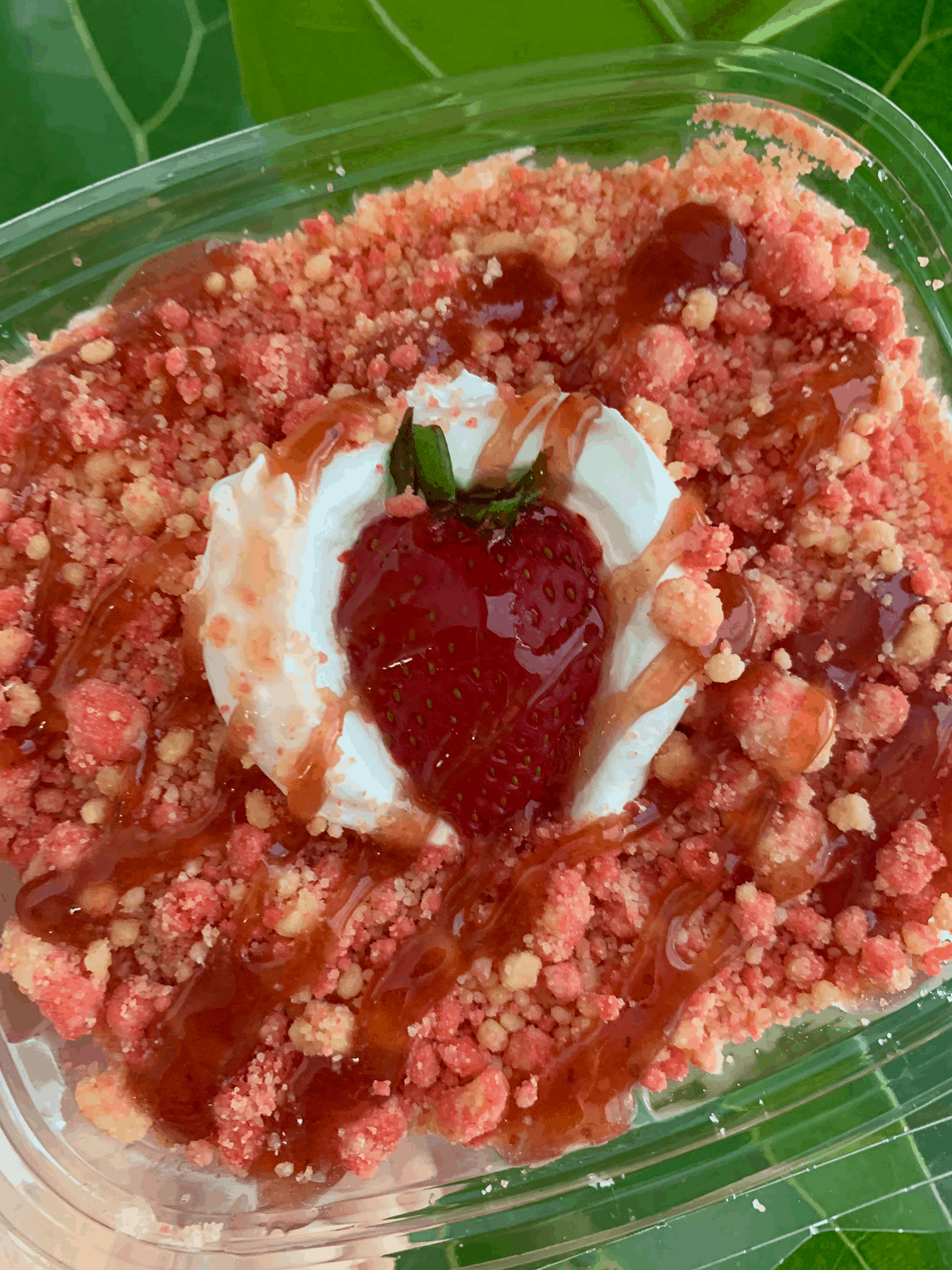 Exquisite Pudding Creations for Foodies The Pudding Junkie Story