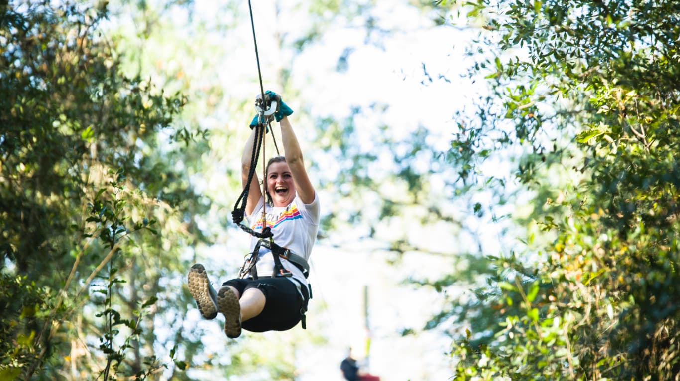 TreeToTree Adventures Tallahassee Museum