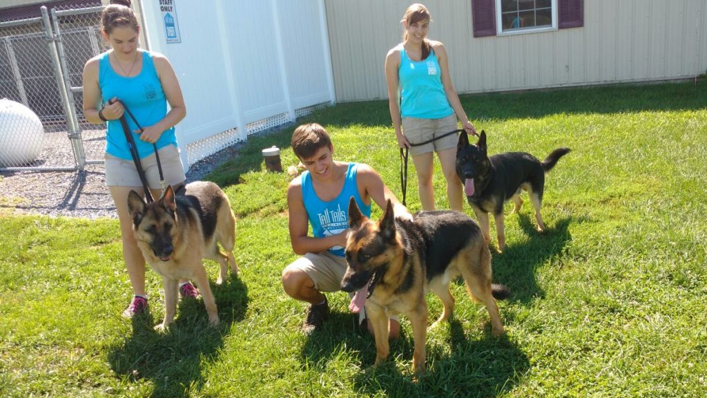 Boarding Tall Tails Training and Boarding