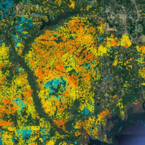 Tall Timbers Research Tall Timbers