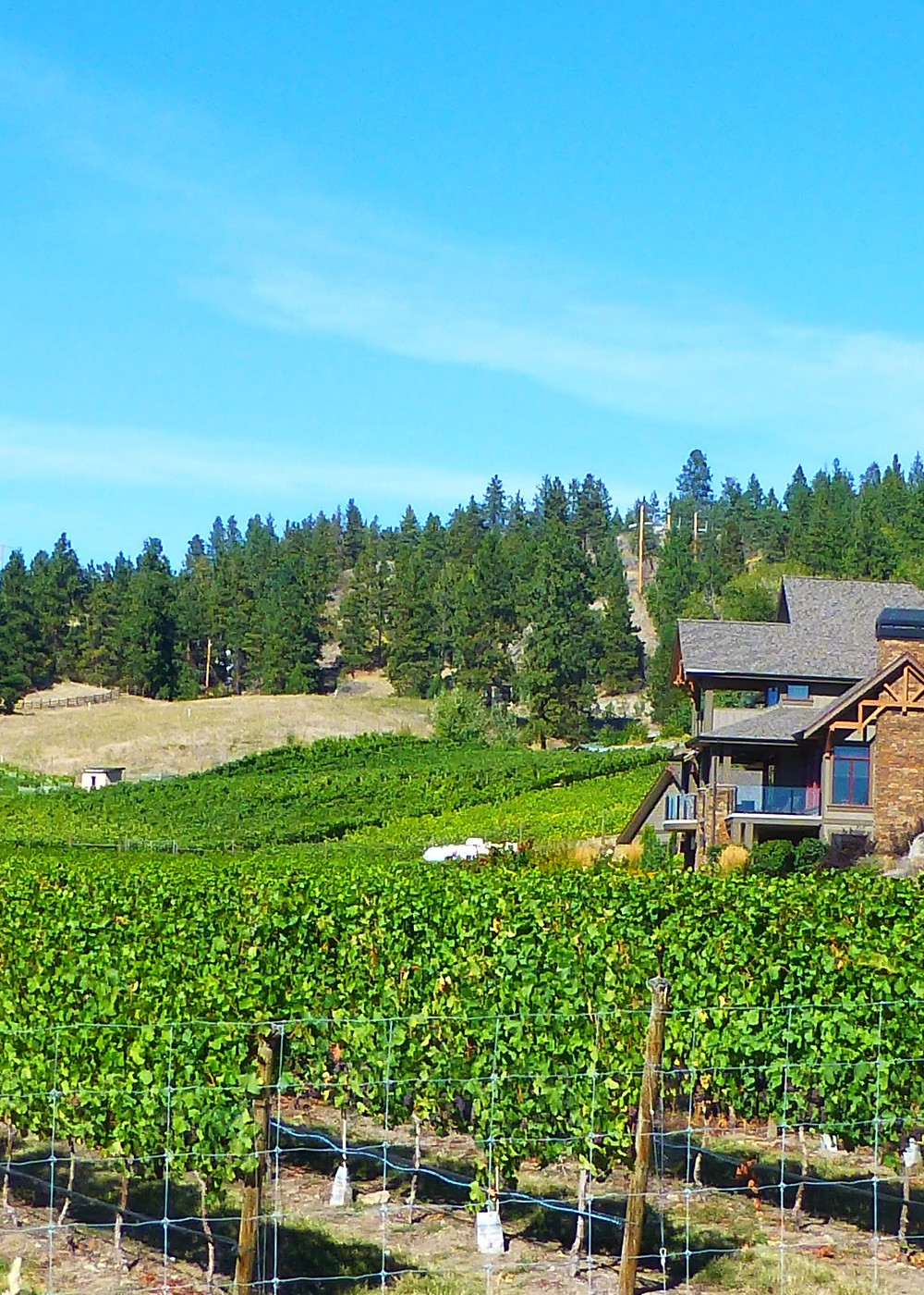 Ice Wine in the Okanagan Valley Tallypack
