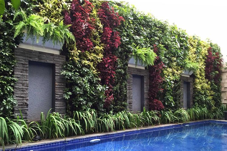 Inspirasi Taman Vertikal Sederhana untuk Rumah di Lahan Sempit Taman