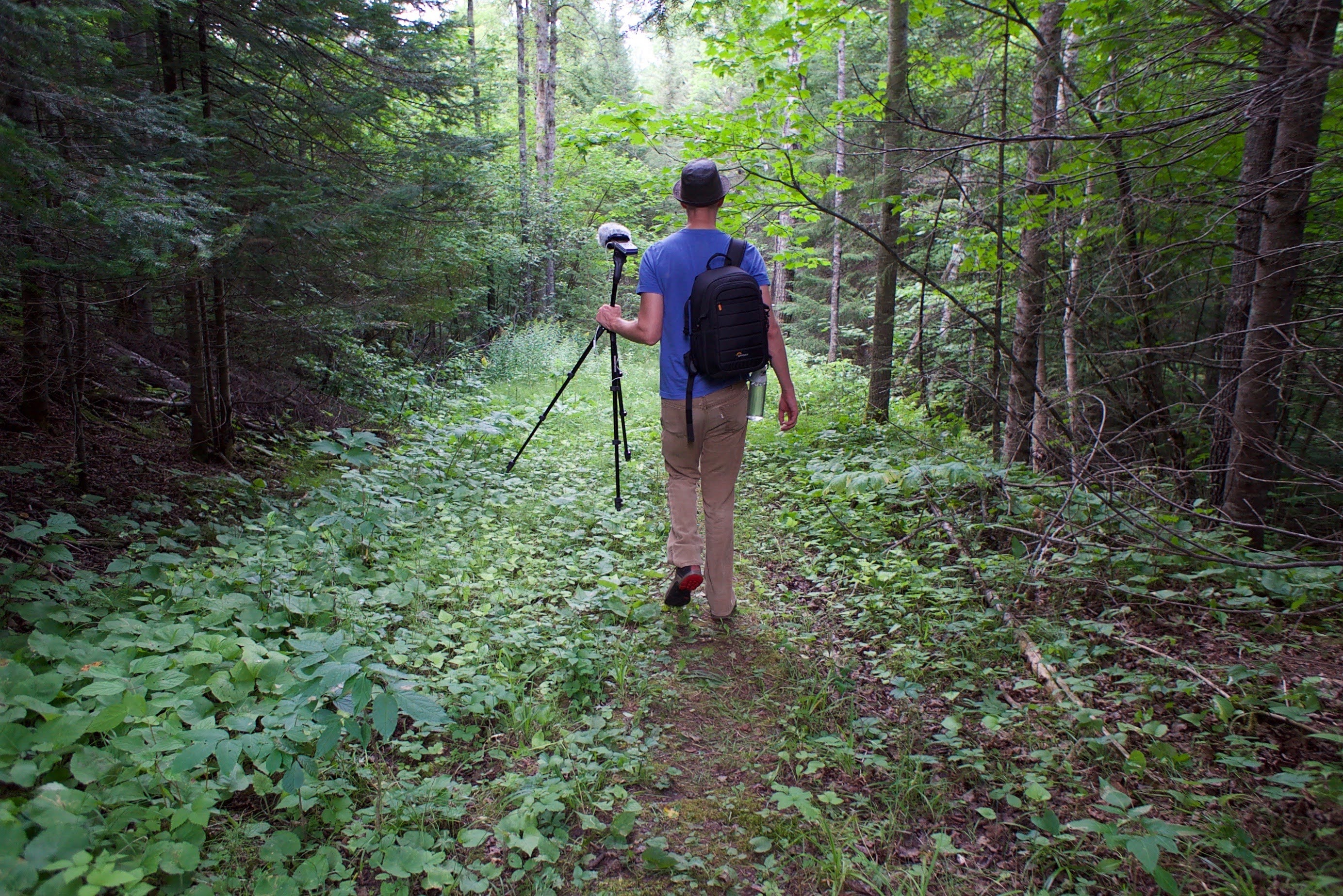 About Tamarack Land Cooperative