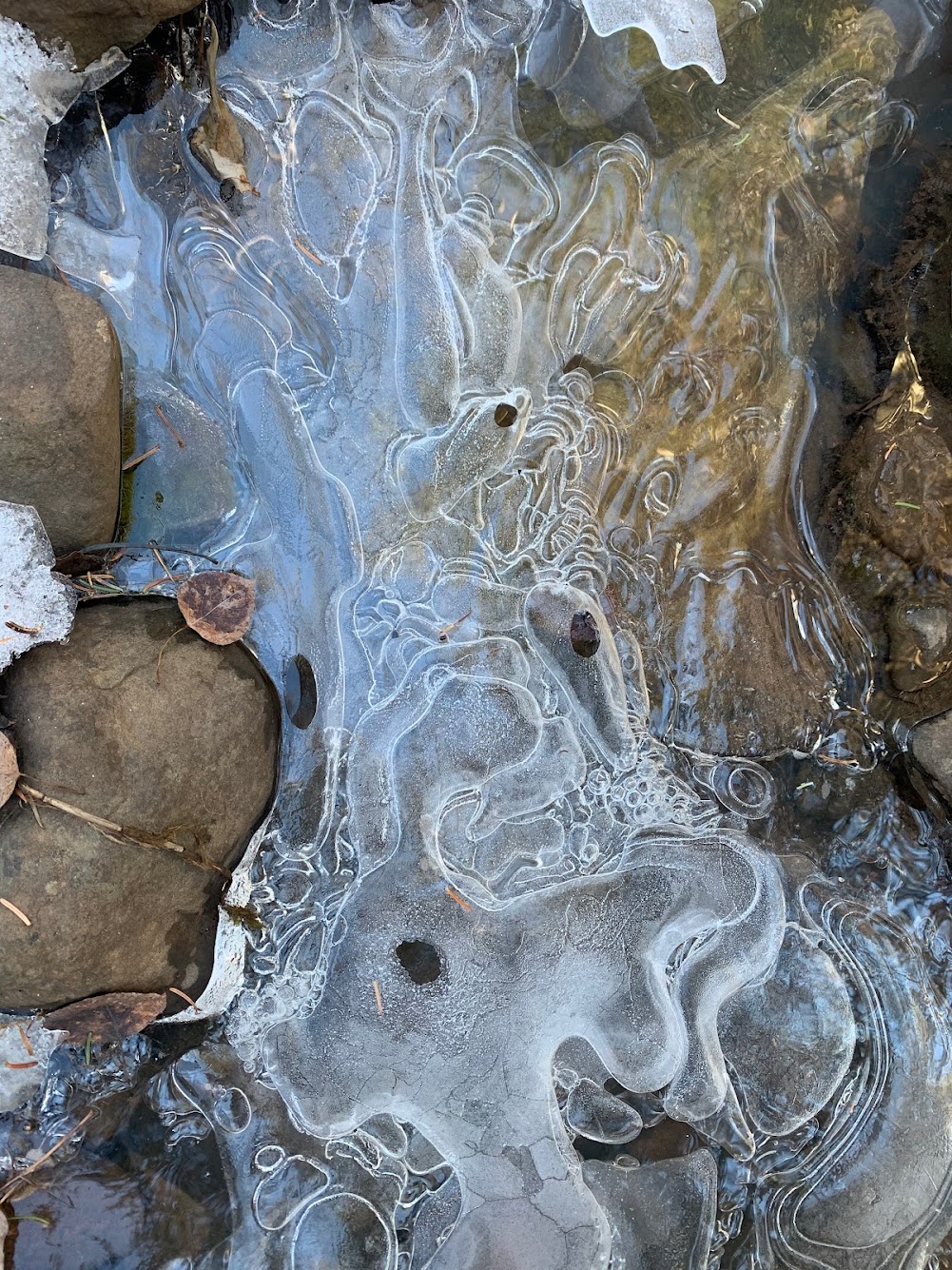 Tamarack Land Cooperative