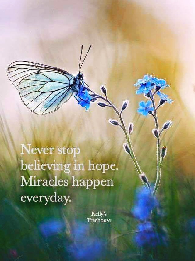 Never Stop believing in hope. Miracles happen everyday. Tamara Kulish