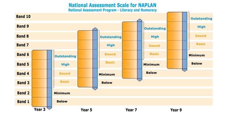 NAPLAN Englis literacy results student parent progress homework help