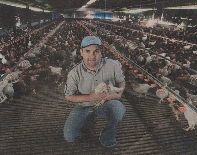 Media Tamarix poultry egg farm located in East Dandenong South