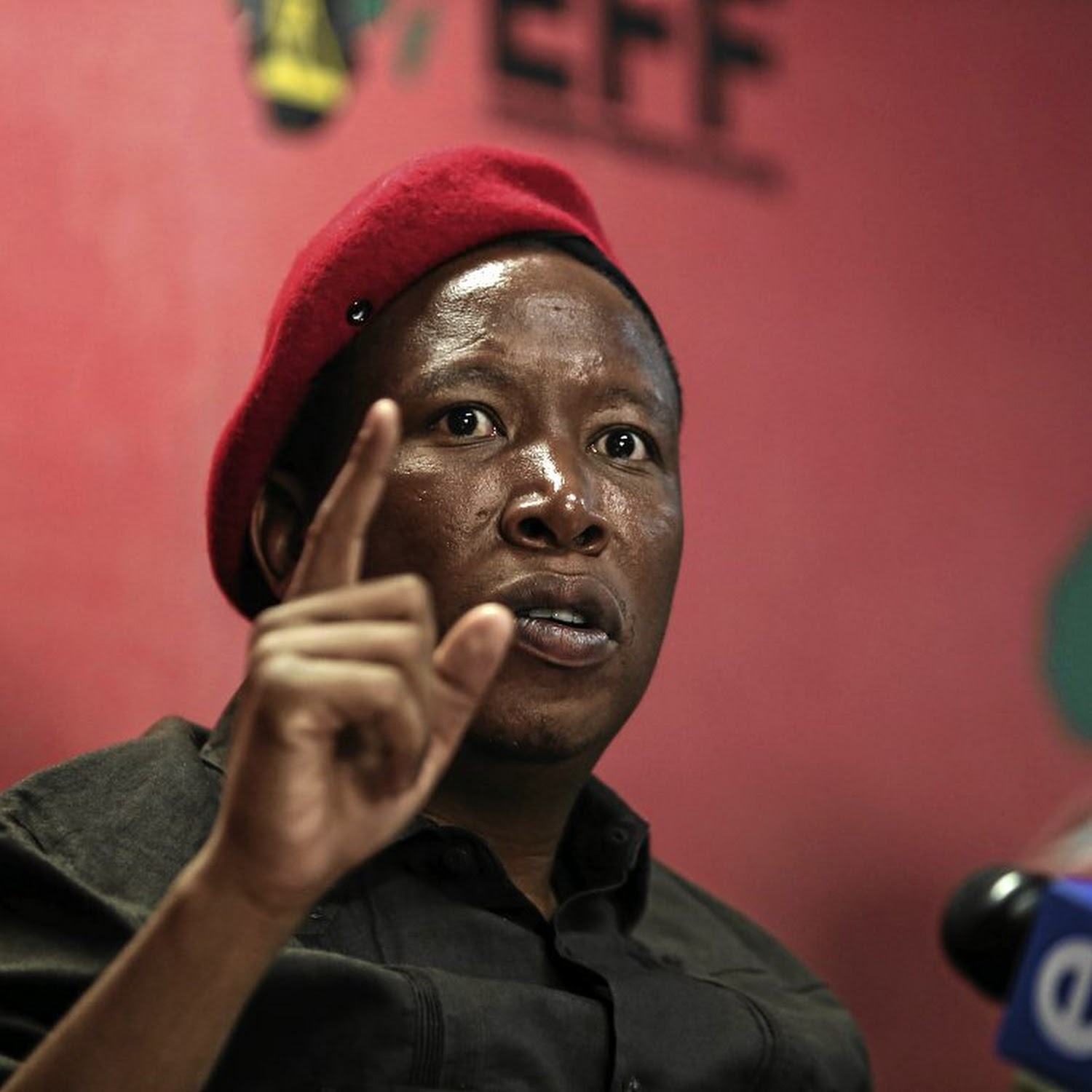 DA Lays Criminal Charge Against Malema and Zuma's Children tame TIMES