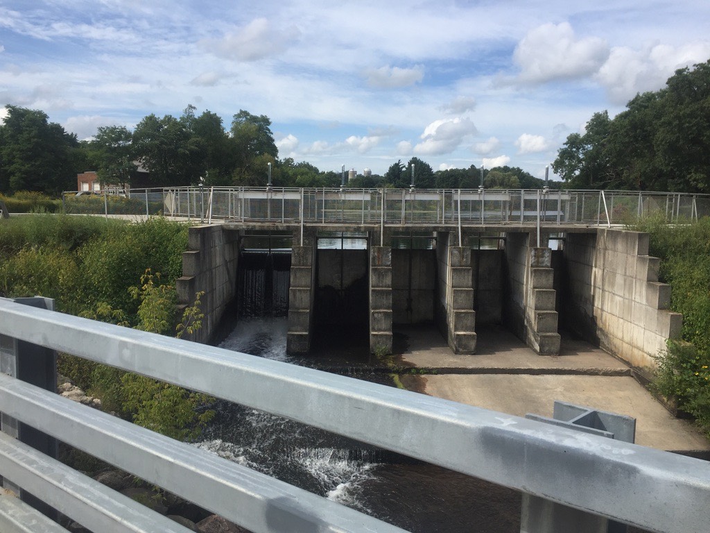 Pine River Dam Taminator