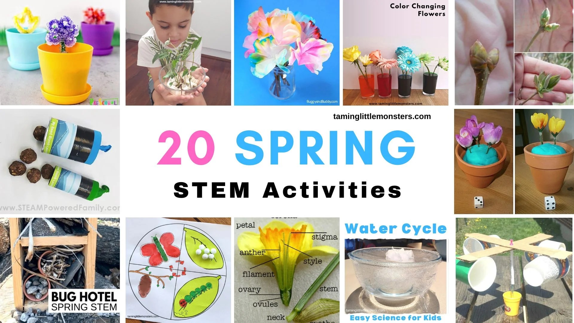 20 Fun Spring STEM Activities for Kids Taming Little Monsters