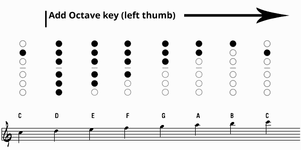 The Best Fingering Charts