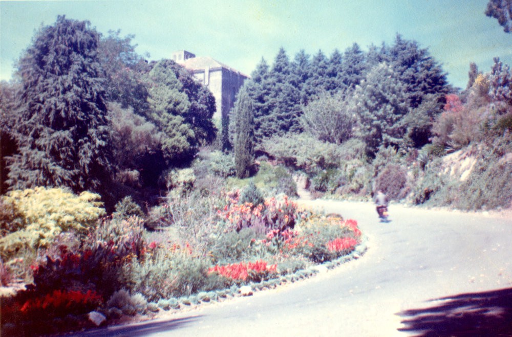 Massey University Archives Photograph Collection Massey University