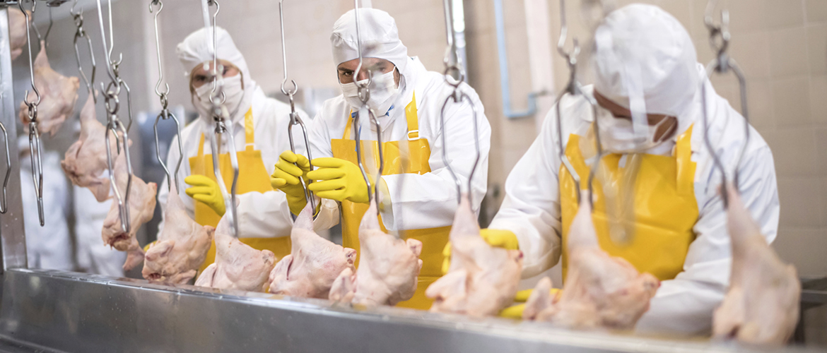 ERP Software Food Processing & Discrete Manufacturing