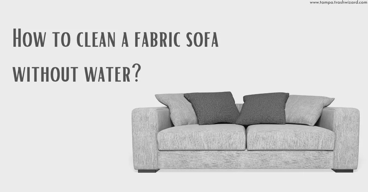 How to clean fabric sofa without water? Trash Wizard