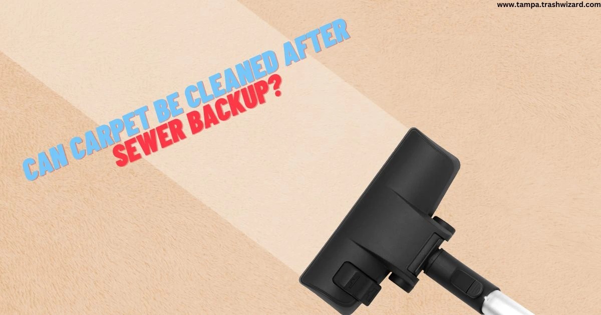 Can Carpet Be Cleaned After Sewer Backup? Trash Wizard