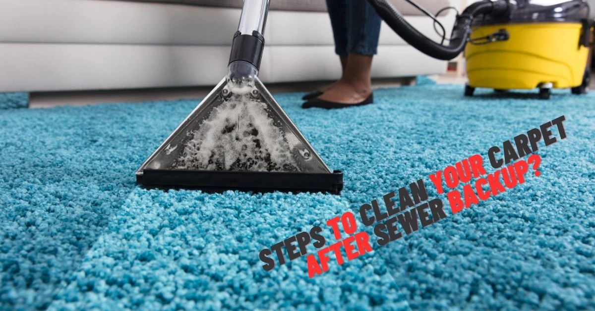 Can Carpet Be Cleaned After Sewer Backup? Trash Wizard