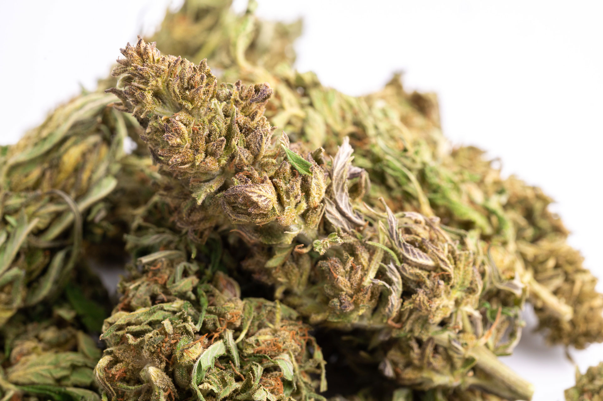 Delta8 THC Flower Sour Space Candy Tampa Bay Hemp Co