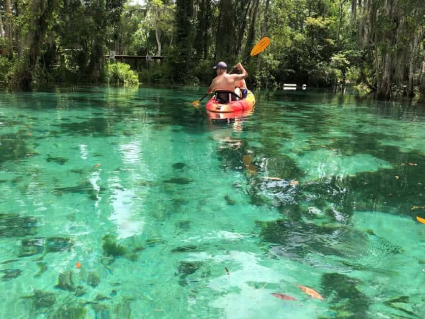 Florida Springs You Need to Explore 10+ natural springs near Tampa Bay