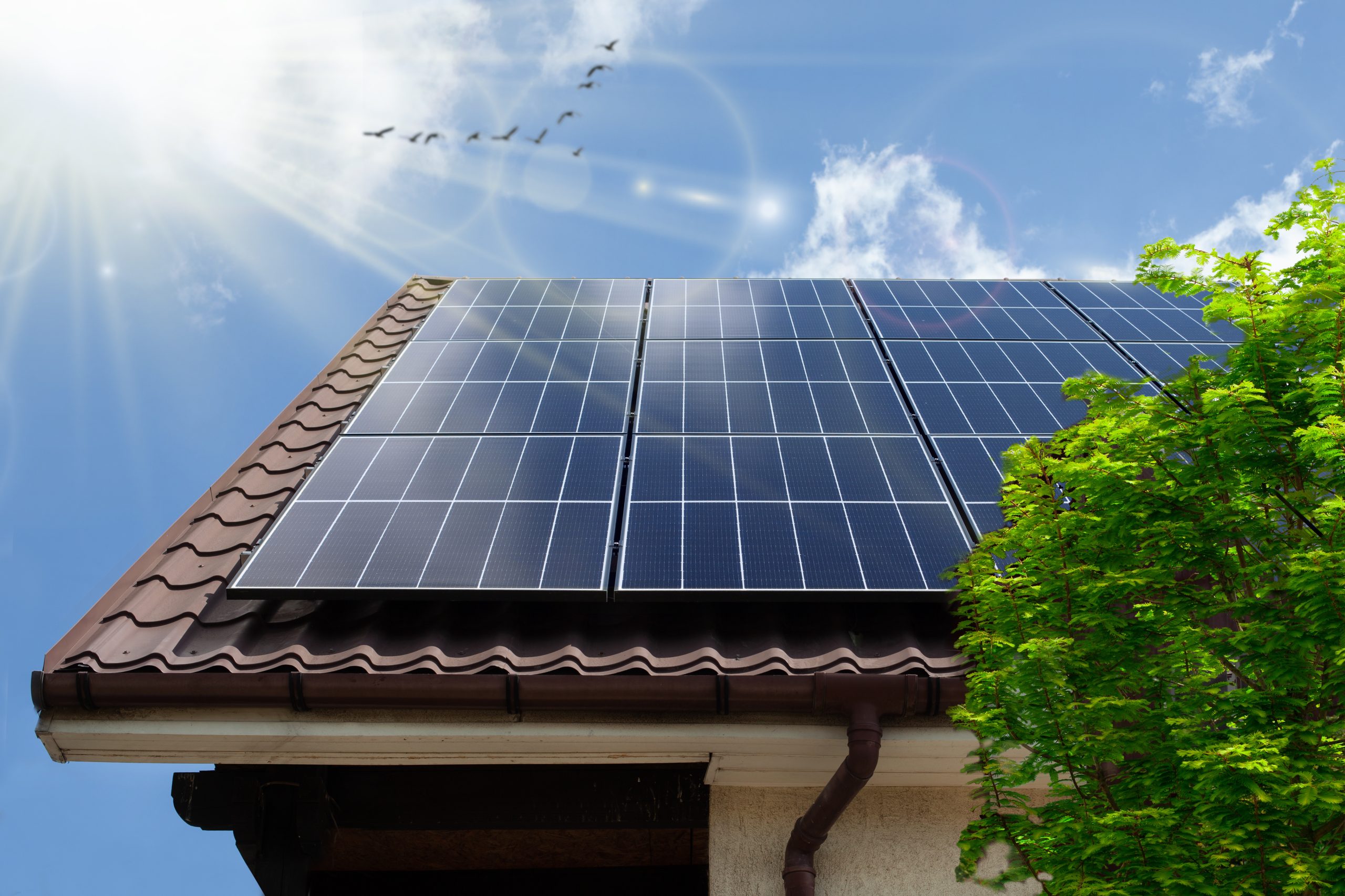 Do Solar Panels Increase Home Value?