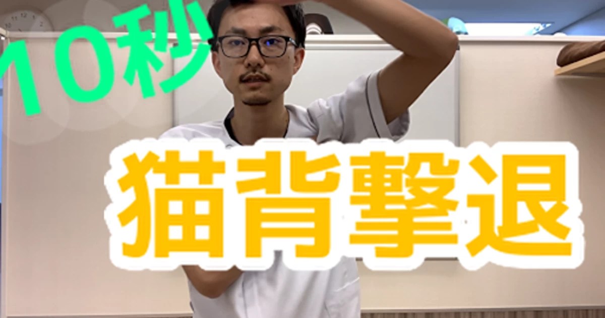 池袋のたんぽ整体院のおすすめ肩こり治療 池袋にあるたんぽ整体院の診療の流れや豆知識などブログで公開しております