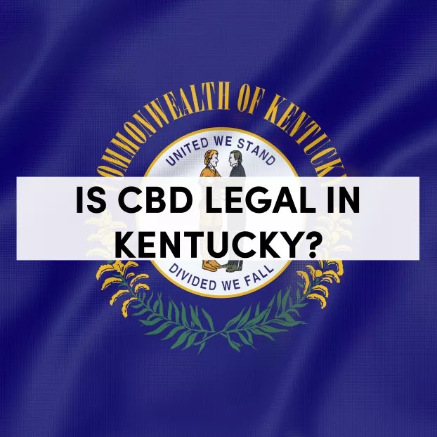 Is CBD Legal in Kentucky? Everything You Need to Know tanasi
