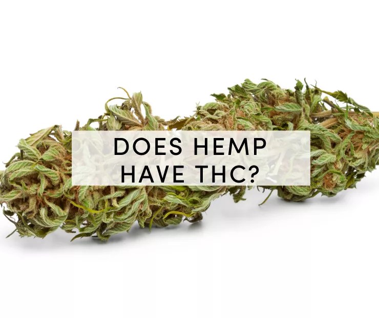 Does Hemp Have THC? Yes, But Only Trace Amounts