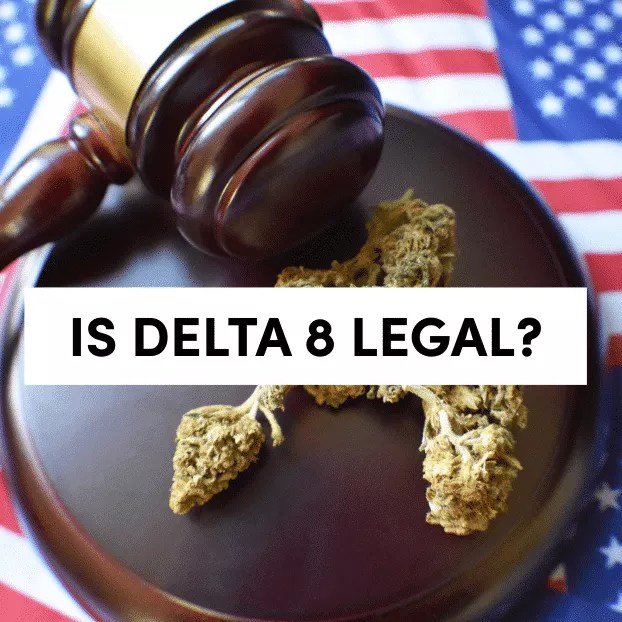 Is Delta Legal Delta 8 CBD Delta 8 vs Delta 9 THC