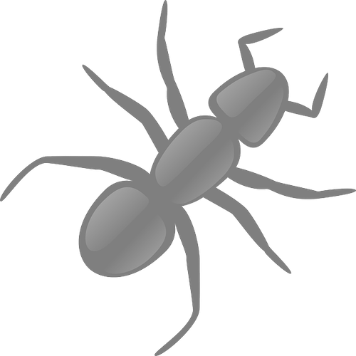 Wisconsin VA Loans now require termite inspection Home Inspectors