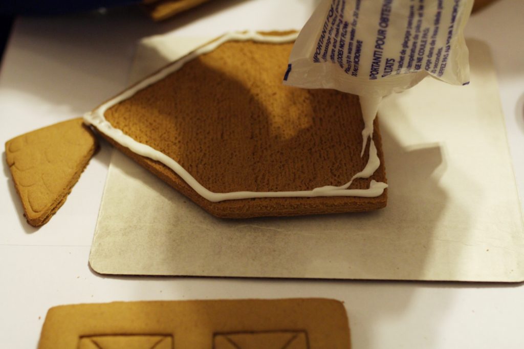 tandem in love {life is truly beautiful and it should be celebrated