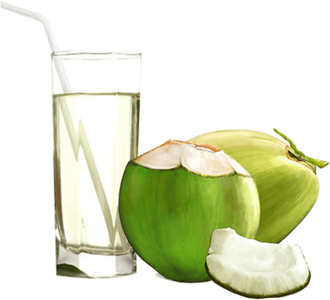 Fresh Coconut Juice ubicaciondepersonas.cdmx.gob.mx