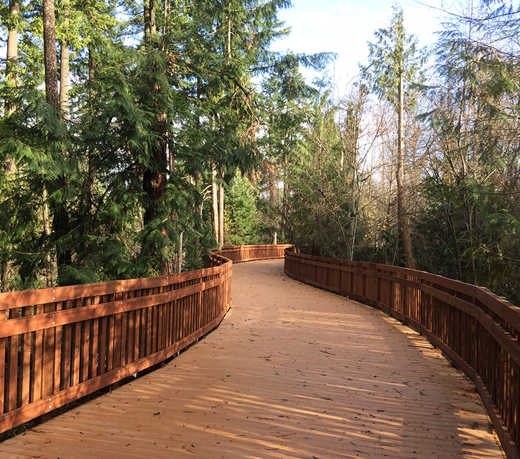 Boardwalk Design Considerations
