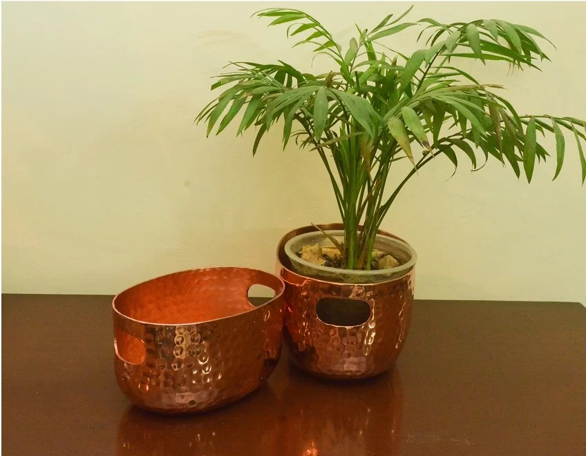 Planters Tangerine India