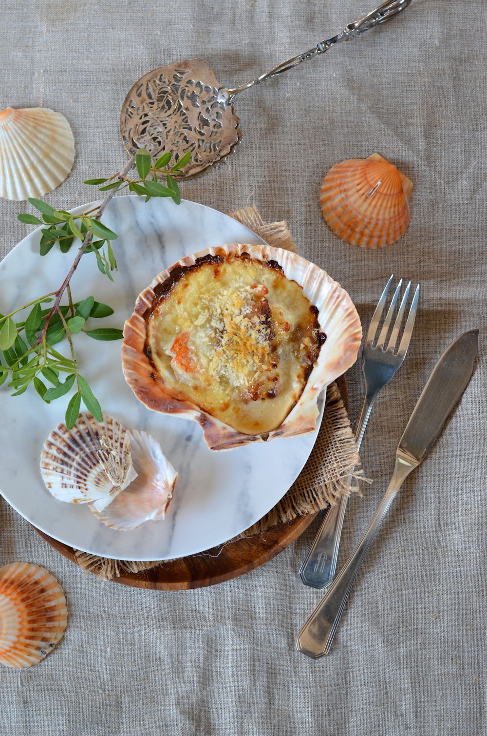 Cassolette de SaintJacques dans leur coquille Recette