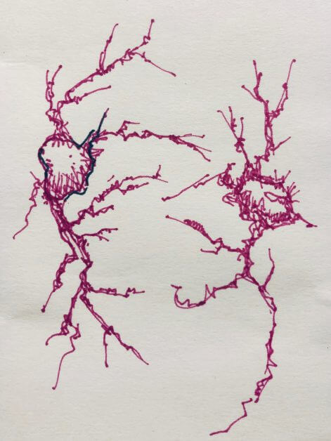 In this article, I write about my journey into fountain pens, which I am now learning to use to sketch and draw. As you will learn, my favored subjects are quite unique. Try doodling branches, cracks, and lines connected in simple angled patterns. If you're looking for something to draw, science has a ton of easy subjects you can try. neurons paired