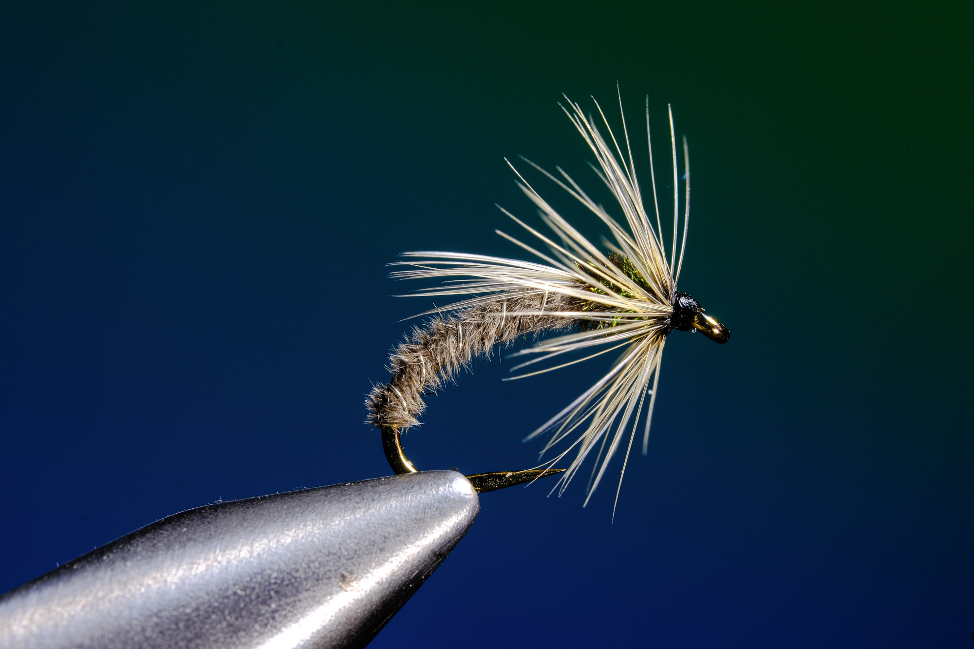 Dog Fly (Moss) The Tangled Cast