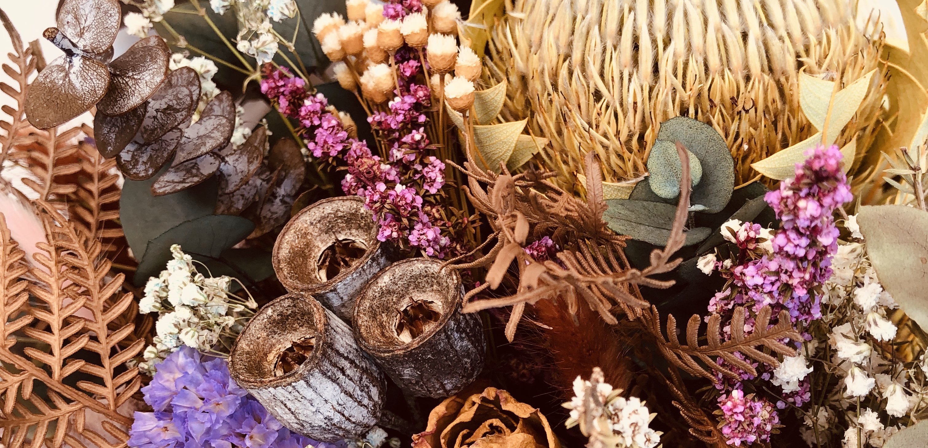 Where To Buy Dried Flowers Perth / Where to buy dried flowers perth