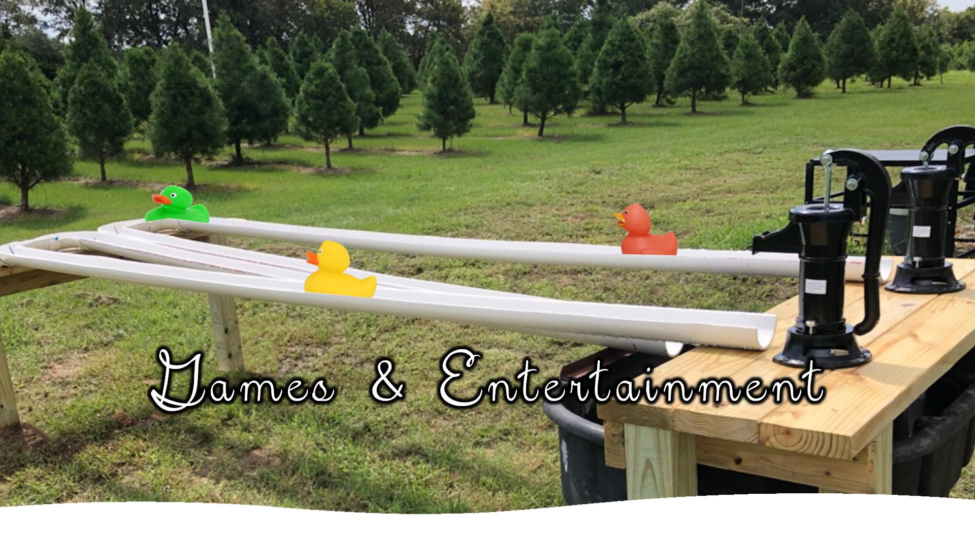 Tanglewood Christmas Trees College Station Christmas Tree Farm