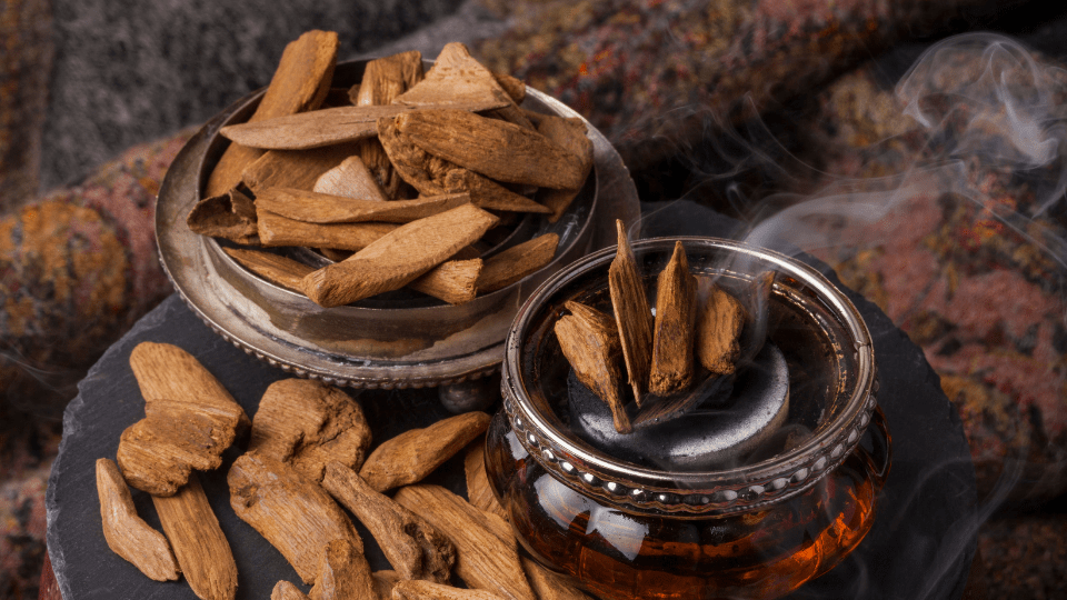 5 Bahan Yang Sering Ditemukan Dalam Parfum Tania Perfume