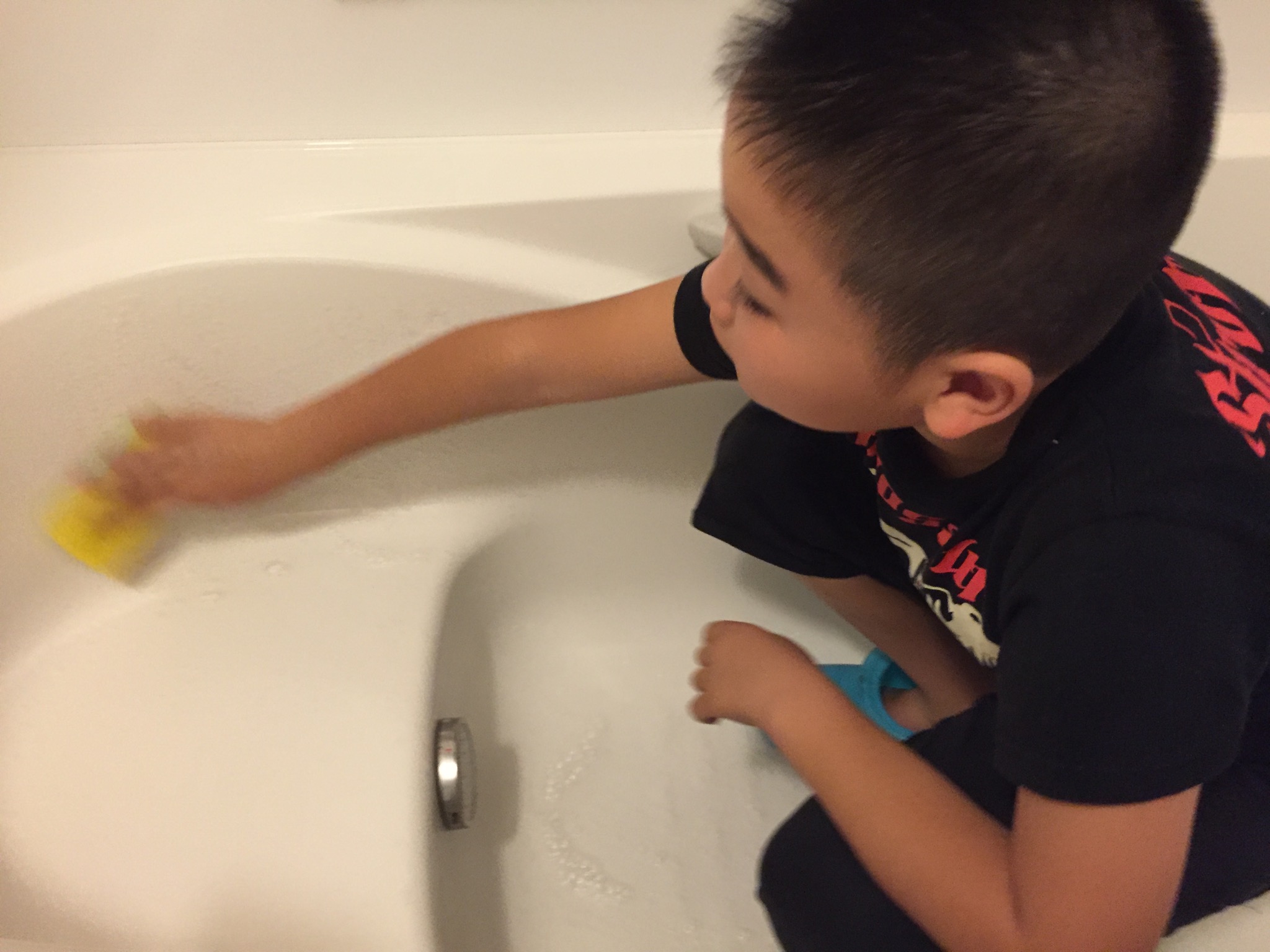 Get 25+ お 風呂 ふた 掃除 with Pictures