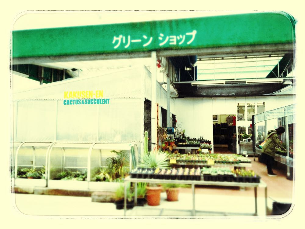 家族と池袋へショッピング ラーメン のついでに初めての鶴仙園へ 多肉男子