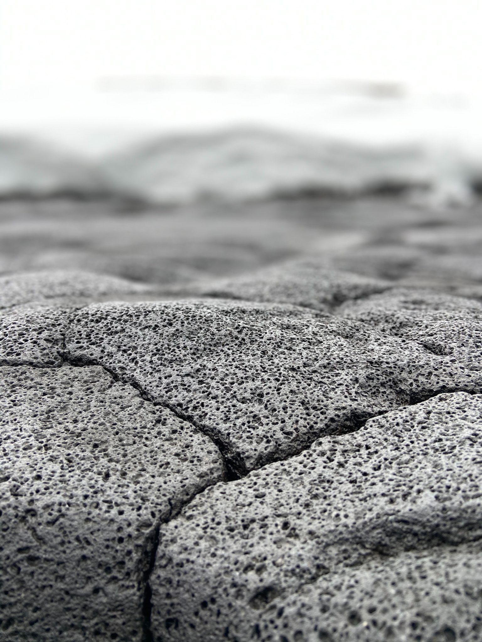 Do Fish Need Rocks Pros and Cons of Lava Rock