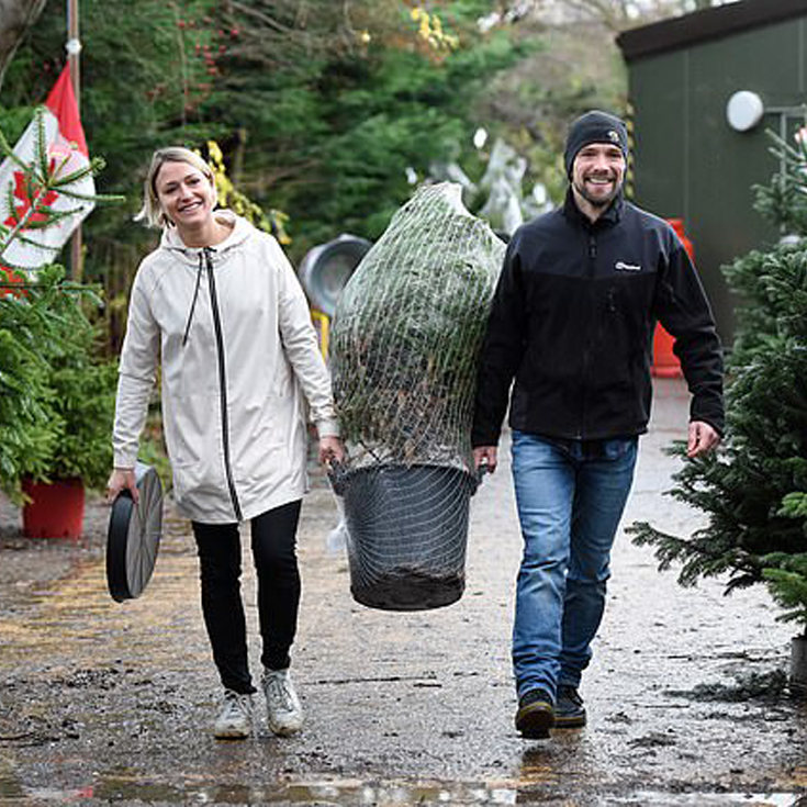 British Company ‘Rental Claus’ Replants Your Christmas Tree Each Year