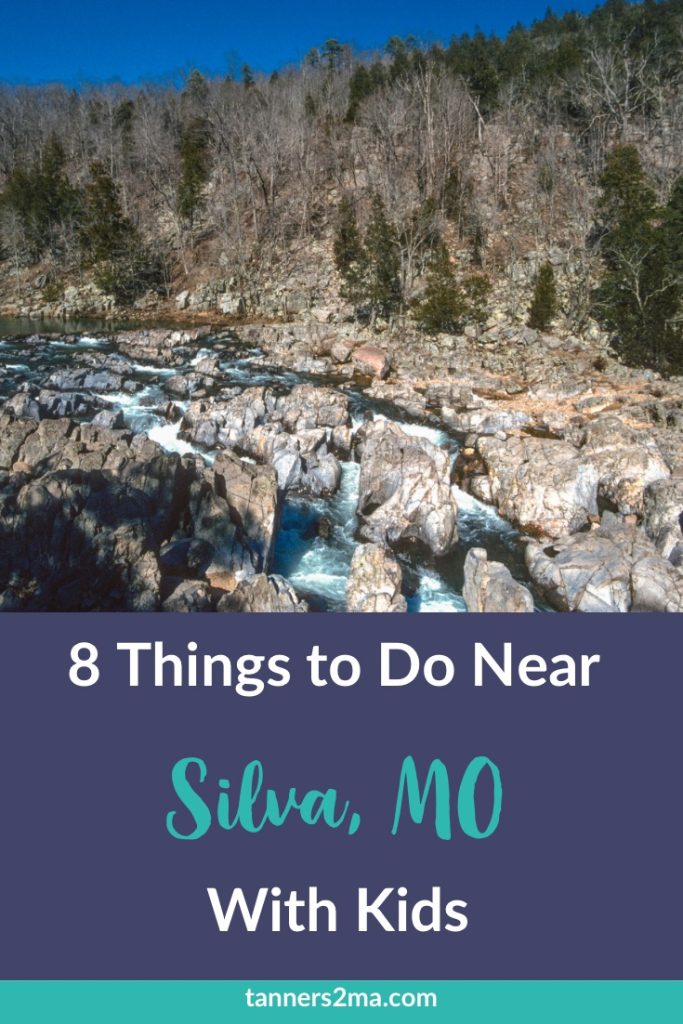 8 KidFriendly Things To Do Near Silva, Missouri Tanners 2 Missionary
