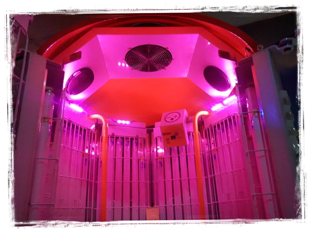 First Class Tanning for GrimsbyBeamsville & St. Catharines clients