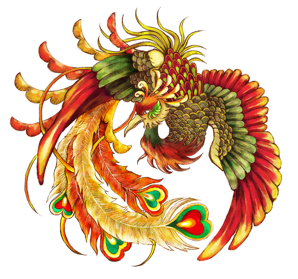 鳳凰 イラスト素材 [ 4617522 ] - フォトライブラリー Photolibrary 鳳凰 - イラスト制作依頼はタノムノ
