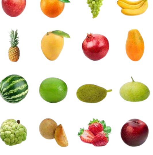 Food Products Tansh International