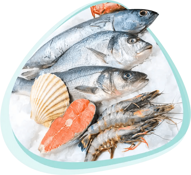 Fresh Seafood Delivery Singapore Tansofresh