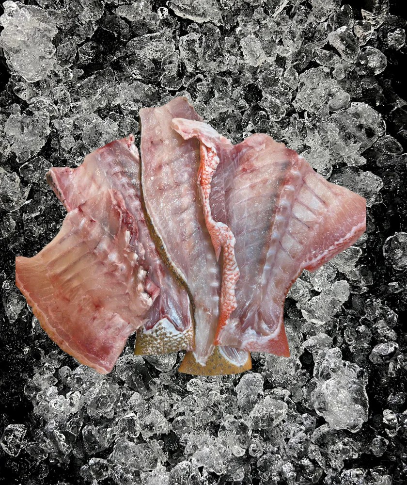 Assorted Fish Bones (鱼骨)