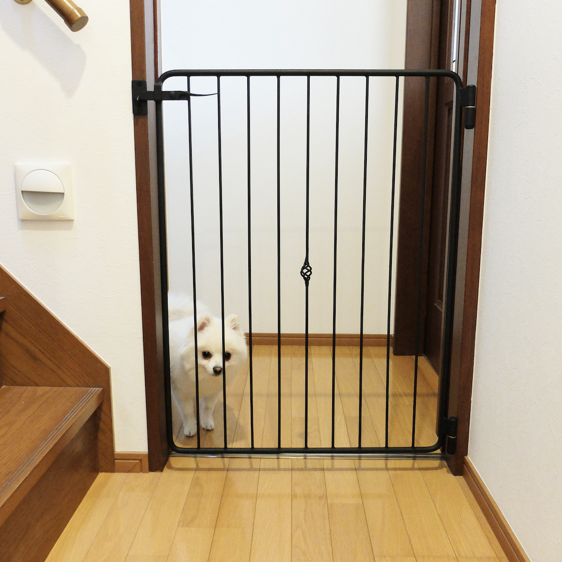 アイアンドッグゲート 鍛鉄工房 ZEST｜IRON & LIVING