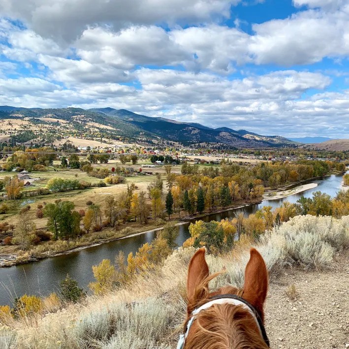 Fall in love with Missoula, Montana! Tanya Foster